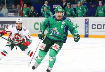 giocatore di hockey russo Denis Khlystov