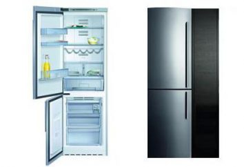 Kühlschrank Neff: Highlights, Beschreibung der Modelle, die Vorteile