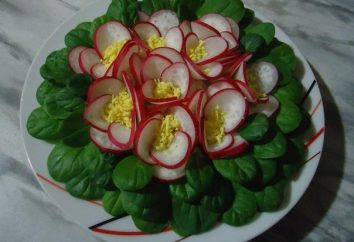 Salada original "Violetas": diferentes opções de culinária