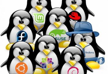 OS "Linux". Co jest rosyjski „Linux”: opis, dane techniczne i opinie