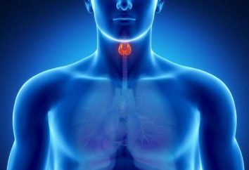 L'hormone thyroïde TSH: normal et anormal