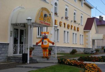 Hotele Myszkin: nazwisko, adres, opinie