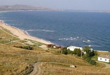Queste diverse costa della Crimea