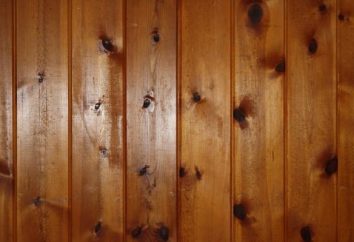 Decorar as paredes de madeira como um desenho alternativo apartamento