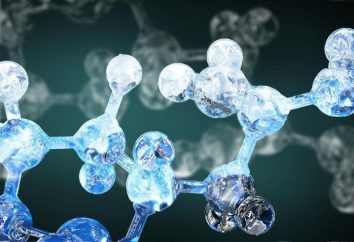 Die molekulare Struktur und die physikalischen Eigenschaften
