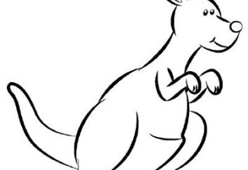 Jak narysować ołówkiem etapy kangura?