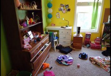 Tägliche Reinigung der Zimmer: Features, Tools und Anleitungen