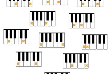 Intervalli – uno strumento musicale … per principianti