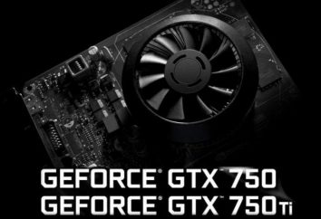 Karta graficzna GeForce GTX 750: dane techniczne i opinie