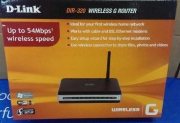 Configuración del router D-Link DIR-320. Instrucciones, la contraseña de conexión