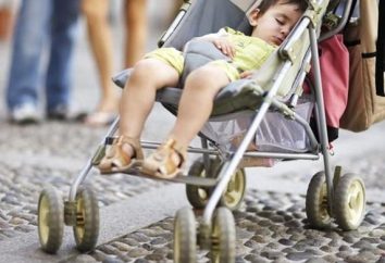 „Happy Baby“ – Kinderwagen für Erholung und Reisen