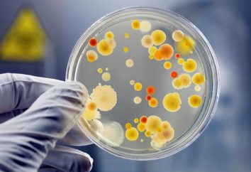 Mikroorganizm – czy to w formie życia?