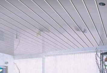 plafonds en aluminium durable Pinion