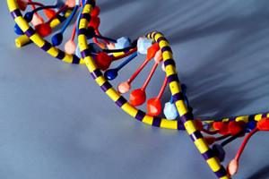 La reserva genética – un valor fundamental de la humanidad