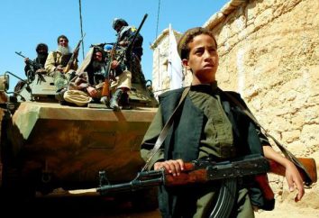 Militantes sobre Afganistán: una lista de las mejores películas