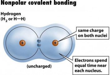 Ejemplo enlace covalente no polar. Enlace covalente polar y no polar