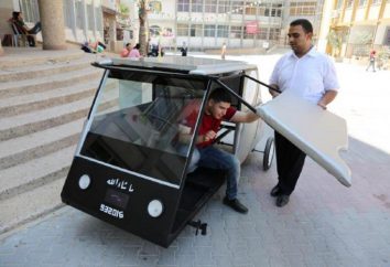 Los estudiantes de Palestina construyeron un coche en paneles solares