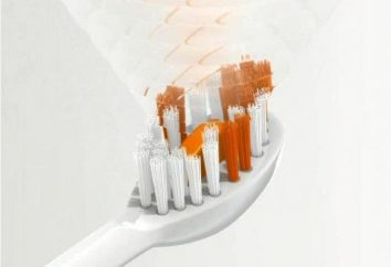 Ultra-som escova de dentes: prós e contras