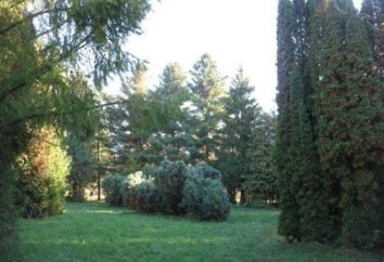 Jardín Botánico. Bajo Nóvgorod. El tema de orgullo de los ciudadanos