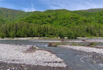 Shahe rivière, région de Krasnodar: description, caractéristiques, photos