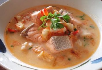 Cooking zuppa di pesce finlandese con crema: le ricette