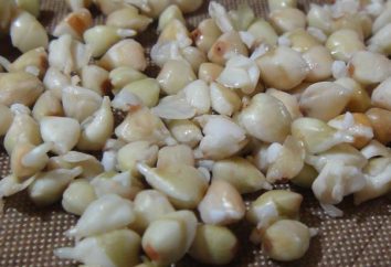 Come germinare grano saraceno in casa?