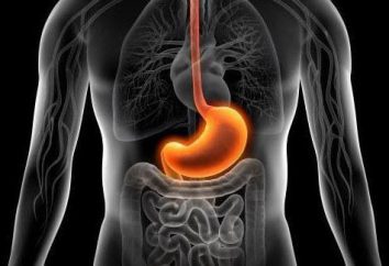 gastritis mixta: lo que es, una descripción, posibles causas y características de tratamiento