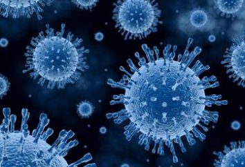 Die Symptome und Behandlung von Hepatitis-C-Virus-Genotypen von Hepatitis C HCV Arzneimittel