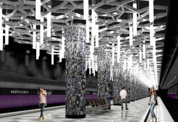 La stazione della metropolitana "Nekrasovka": la costruzione, il layout, le date di messa in