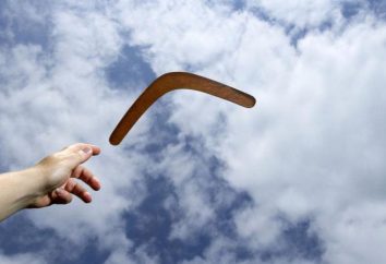 Zasada bumerang: pojęcie, przykłady życia