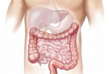 12 úlcera duodenal: estructura, la función, la enfermedad y posible tratamiento. La úlcera péptica duodenal 12 úlcera: síntomas