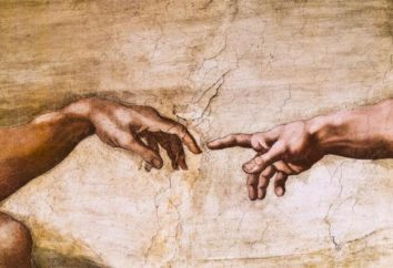 Stimmt es, dass Michelangelo geheime Botschaften an der Decke der Sixtina verlassen hatte?
