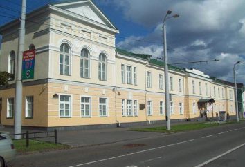 Muzeum Sztuk Pięknych w Republice Karelii: opis