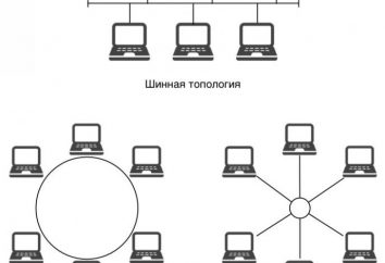 topologías de red: ventajas y desventajas