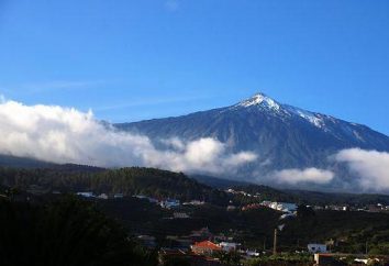 Ricreazione e il tempo a Tenerife nel mese di gennaio: foto e recensioni