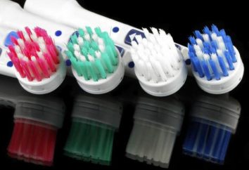 Brosses à dents électriques Braun Oral-b: description, photos, commentaires
