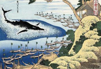 Japanische Legenden und Horrorgeschichten. Fisch in der japanischen Legende – ein Symbol des Bösen und des Todes. Japanische Legende der Kraniche