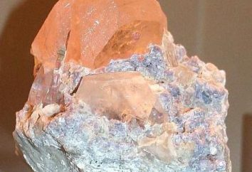 Pietra Morganite (varietà di berillo): descrizione, proprietà magiche e segni dello zodiaco