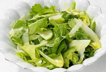 A salada original de urtiga