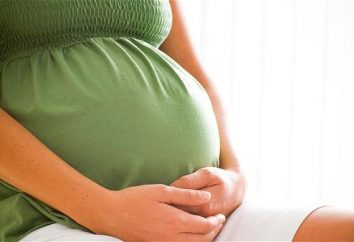 Cosa fare in congedo di maternità? La massa di opzioni