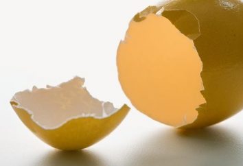 Oryginalne rzemiosło z jaj – unikalne pamiątki własnymi rękami