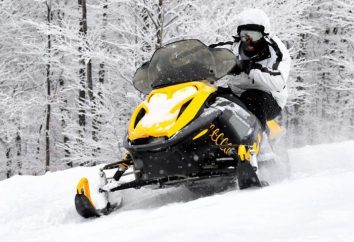 botas de moto de nieve que empresa es mejor para comprar?