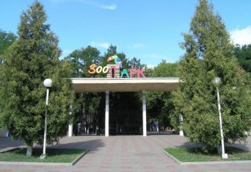 Intrattenimento a Rostov-on-Don per tutta la famiglia. Parco di divertimenti in Rostov-on-Don