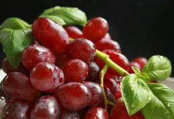Raisins « Victoria » – une description de la variété