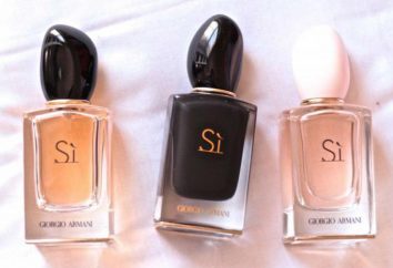 Si Perfume: Descrição fragrância, características, fabricante. Perfume Giorgio Armani Si: comentários de preços