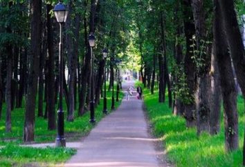 Pietrowski Park i jego atrakcje