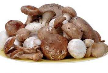 Combien de calories dans les champignons, cuits de différentes manières?