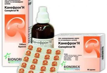 Medicament "Kanefron". indications