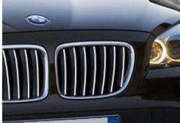 grille – voiture "Smile"