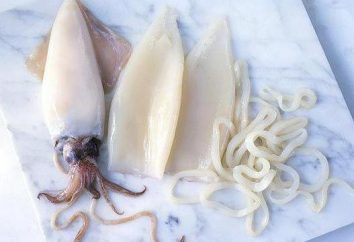 Comandante calamaro: proprietà utili, ricette